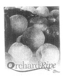 ORCHARD RIPE