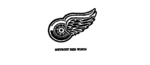 DETROIT RED WINGS