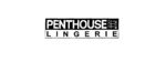 PENTHOUSE LINGERIE