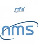 NMS NEW MILLENNIUM SOLUTIONS ; NMS