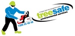 TREESAFE ENVIRONMENTAL SERVICES A CHEAPER, FASTER TREE MANAGEMENT SYSTEM