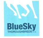 BLUESKY THOROUGHBREDS PTY LTD