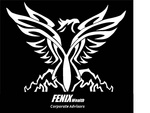 FENIX WEALTH CORPORATE ADVISORS