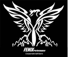 FENIX PERFORMANCE CORPORATE ADVISORS