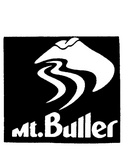 MT. BULLER