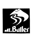 MT. BULLER