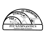 PIT GYMNASTICS JUNIOR GYM CLASSES  FUN FITNESS CO-ORDINATION