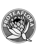 PROTEAFLORA