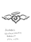 ANGELS CONSULTANCY GROUP PTY LTD