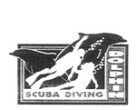 SCUBA DIVING DOLPHIN