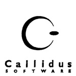 CALLIDUS SOFTWARE