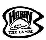 HARRY THE CAMEL