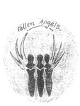 FALLEN ANGELS