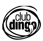 CLUB DINGO