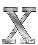 X HORNEE