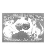 GARFIELD FARM VICTORIAN CAPSICUMS